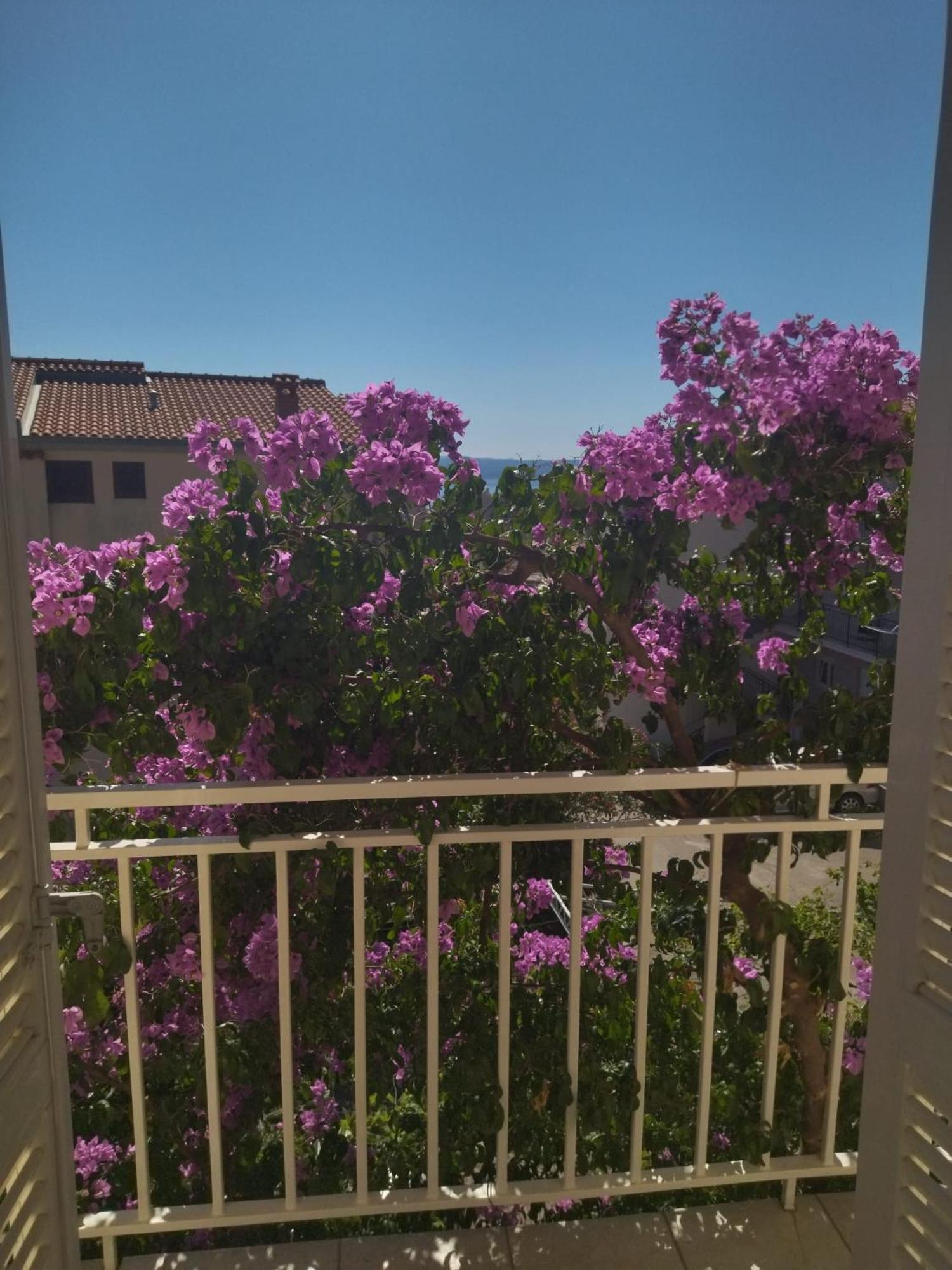 Apartmani Makarska Ngoại thất bức ảnh